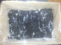 Pilze in Pappkarton beim Wachsen