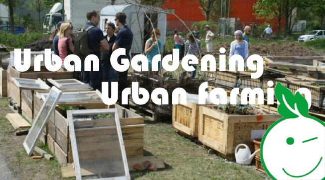 Vorschaugrafik Eco Kids Webshow