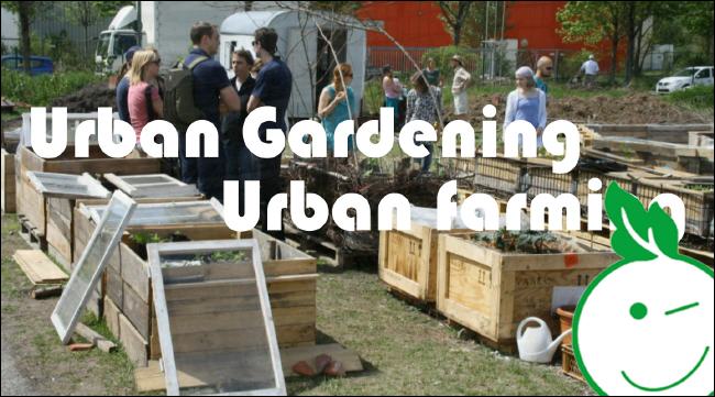 Vorschaugrafik Eco Kids Webshow